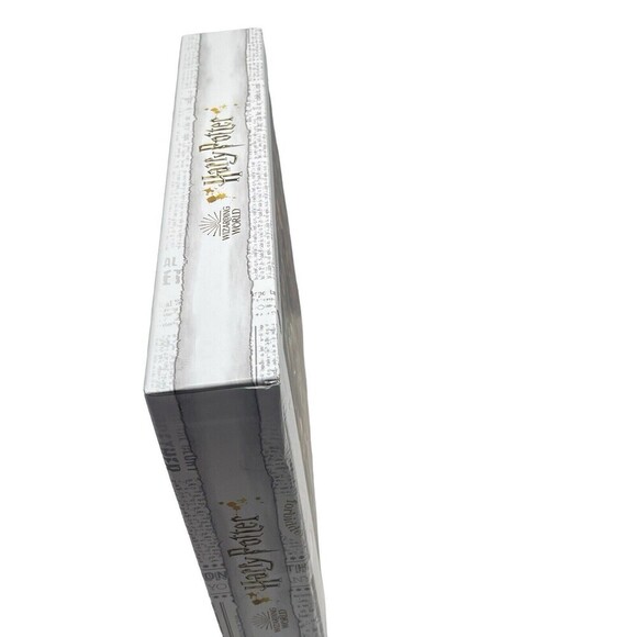 HARRY POTTER 1,000 PIECE WIZARDING WORLD ALL THE CHARACTERS PALADONE PUZZLE - Picture 2 of 13